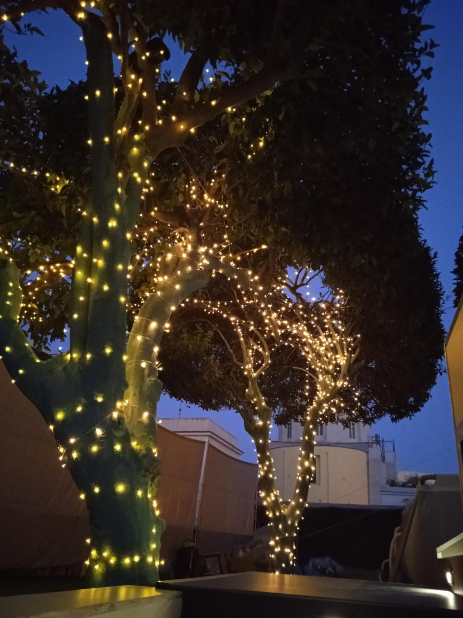 Casa Mika Hotell Procida Rum bild